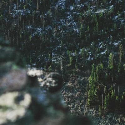 Gallery image 1 of Executive Suite Blantyre