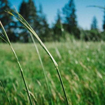 Gallery image 1 of Lakeview Cottage
